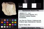 Foto (Objket + Etiketten) von Pithonoton sp. 